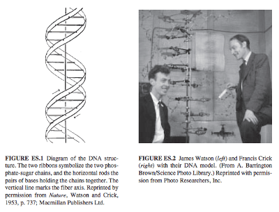 ワトソンとクリックが実物モデルを使うことでDNAの構造を発見